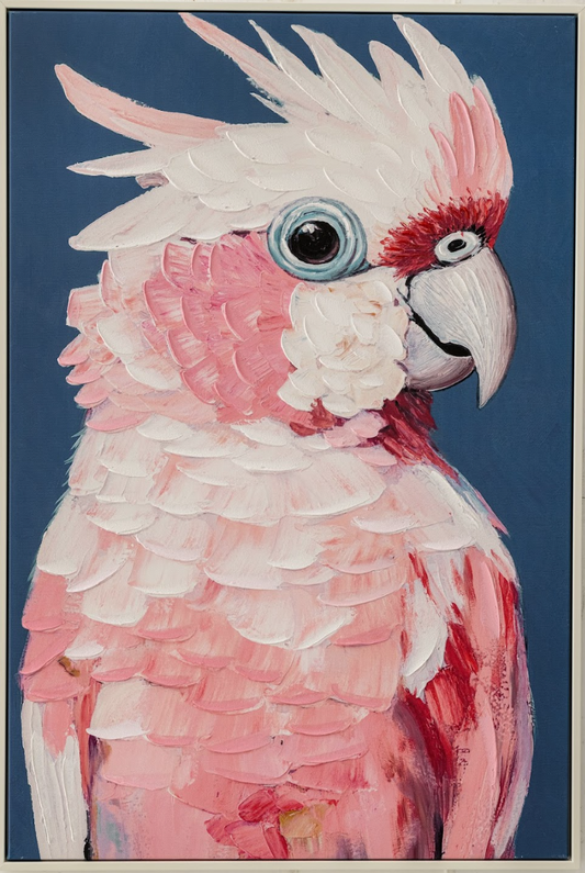 Pink Parrot / B