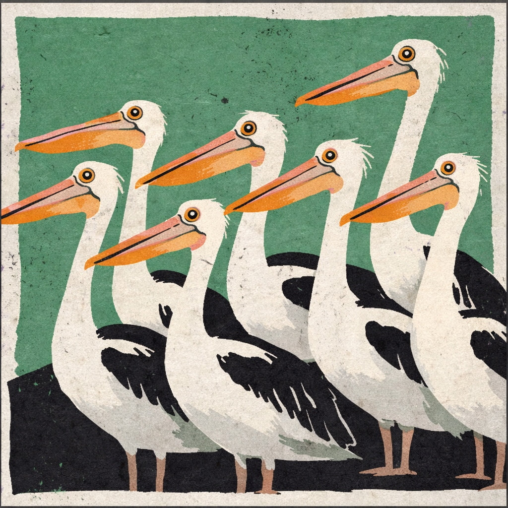 Coastal Companions